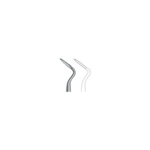 Apical 302